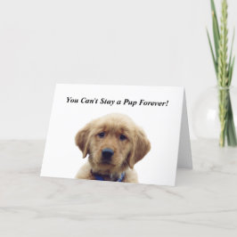 Golden Retriever Puppy Afstuderen Kaart