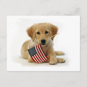 Golden Retriever Puppy and Flag Briefkaart