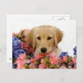 Golden Retriever Puppy and Flowers Briefkaart (Voorkant / Achterkant)