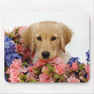 Golden Retriever Puppy and Flowers Muismat