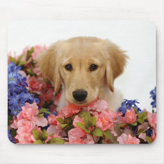 Golden Retriever Puppy and Flowers Muismat (Voorkant)