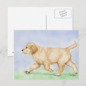 Golden Retriever Puppy Art Post Card Briefkaart (Voorkant / Achterkant)