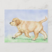 Golden Retriever Puppy Art Post Card Briefkaart (Voorkant)