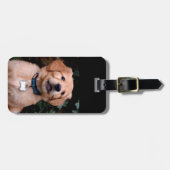 Golden Retriever Puppy Bagagelabel (Voorkant horizontaal)