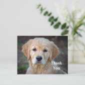 Golden Retriever Puppy Bedankt Briefkaart (Staand voorkant)