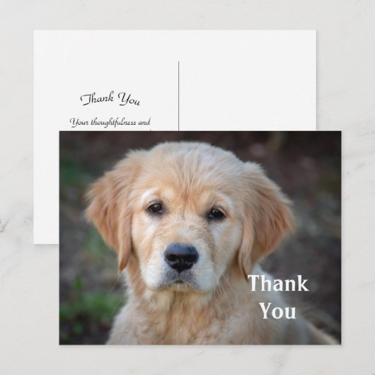 Golden Retriever Puppy Bedankt Briefkaart (Voorkant / Achterkant)