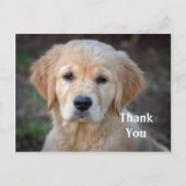 Golden Retriever Puppy Bedankt Briefkaart (Voorkant)