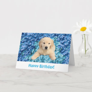 Golden Retriever Puppy Birthday Card Kaart