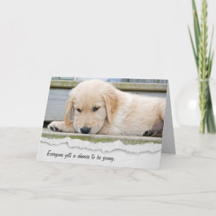 Golden Retriever Puppy Birthday Humor Card Kaart