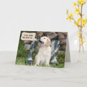 Golden Retriever Puppy Birthday Humor Kaart (Gele Bloem)