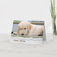 Golden Retriever Puppy Birthday