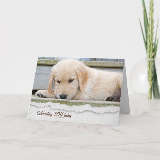 Golden Retriever Puppy Birthday Kaart (Voorkant)