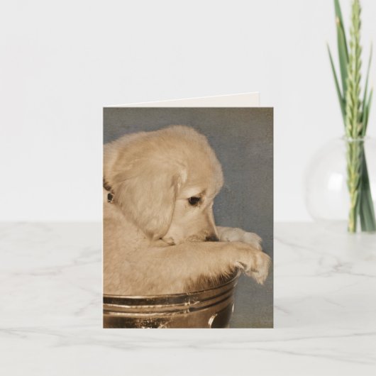Golden Retriever Puppy Blank Notecard Kaart (Voorkant)