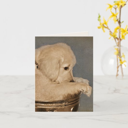 Golden Retriever Puppy Blank Notecard Kaart (Gele Bloem)