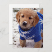Golden Retriever Puppy Briefkaart (Voorkant / Achterkant)