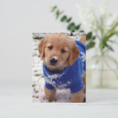 Golden Retriever Puppy Briefkaart (Staand voorkant)