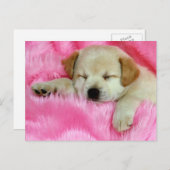 Golden Retriever Puppy Briefkaart (Voorkant / Achterkant)