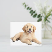 Golden Retriever Puppy Briefkaart (Staand voorkant)