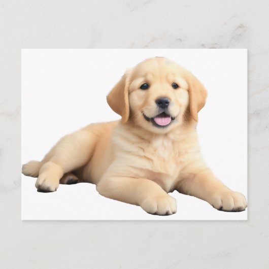 Golden Retriever Puppy Briefkaart (Voorkant)