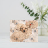Golden Retriever Puppy Briefkaart (Staand voorkant)