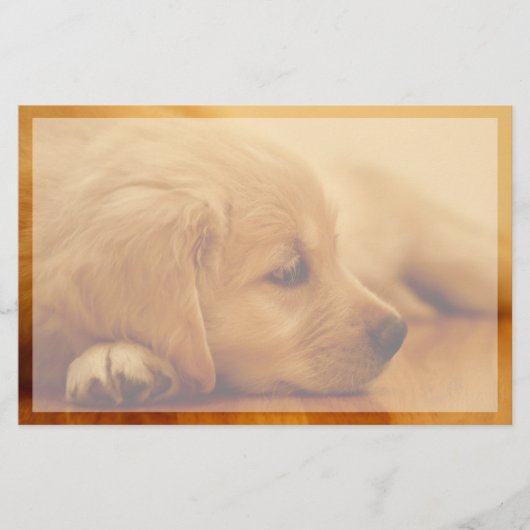 Golden Retriever Puppy Briefpapier (Voorkant)