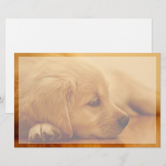 Golden Retriever Puppy Briefpapier (Voorkant / Achterkant)