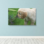 Golden Retriever Puppy Canvas Afdruk (Insitu (Houten vloer))