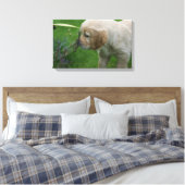 Golden Retriever Puppy Canvas Afdruk (Insitu (Slaapkamer))
