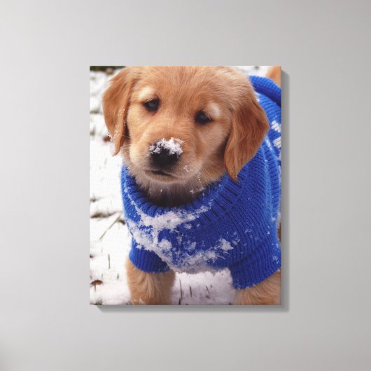 Golden Retriever Puppy Canvas Afdruk (Voorkant)
