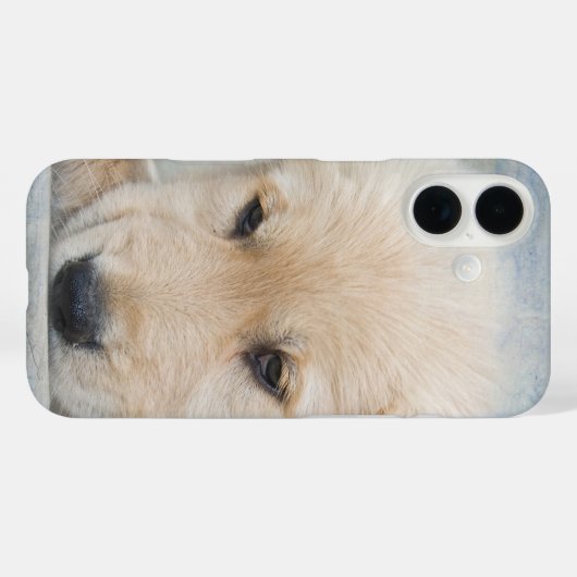 Golden Retriever Puppy Case-Mate iPhone Case (Achterkant (horizontaal))