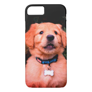 Golden Retriever Puppy iPhone 8/7 Hoesje