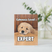 Golden Retriever Puppy Cuteness Level Briefkaart (Staand voorkant)