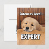 Golden Retriever Puppy Cuteness Level Briefkaart (Voorkant / Achterkant)