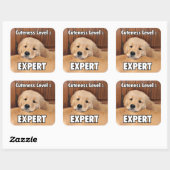 Golden Retriever Puppy Cuteness Level Vierkante Sticker (Vel)
