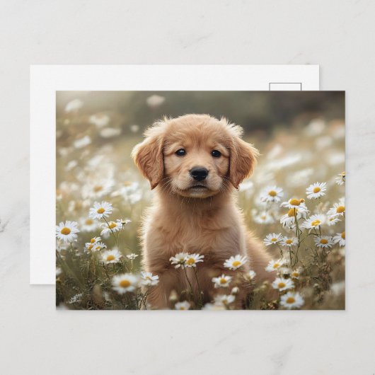 Golden Retriever Puppy Daisy Field Briefkaart (Voorkant / Achterkant)