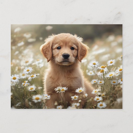 Golden Retriever Puppy Daisy Field Briefkaart (Voorkant)