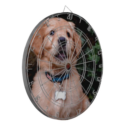 Golden Retriever Puppy Dartbord (Voorkant Links)