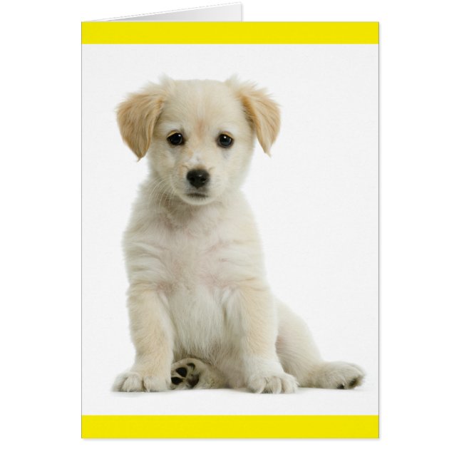 Golden Retriever Puppy Dog Blank (Voorkant)