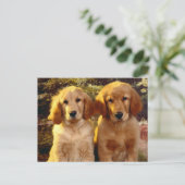 Golden Retriever Puppy Dog Blank Briefkaart (Staand voorkant)