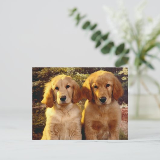 Golden Retriever Puppy Dog Blank Briefkaart (Staand voorkant)