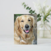 Golden Retriever Puppy Dog Blank Briefkaart (Staand voorkant)