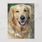 Golden Retriever Puppy Dog Blank Briefkaart (Voorkant)