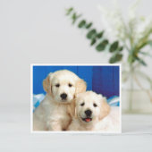 Golden Retriever Puppy Dog Blank Briefkaart (Staand voorkant)
