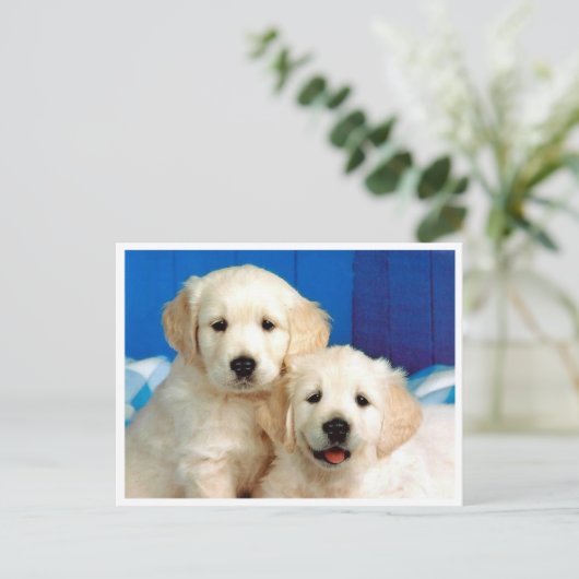 Golden Retriever Puppy Dog Blank Briefkaart (Staand voorkant)
