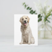 Golden Retriever Puppy Dog Blank Briefkaart (Staand voorkant)