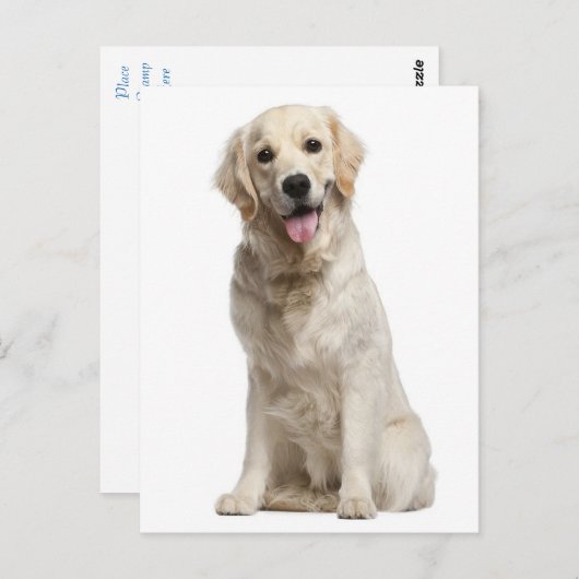 Golden Retriever Puppy Dog Blank Briefkaart (Voorkant / Achterkant)