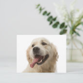 Golden Retriever Puppy Dog Blank Briefkaart (Staand voorkant)