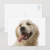 Golden Retriever Puppy Dog Blank Briefkaart (Voorkant / Achterkant)