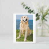Golden Retriever Puppy Dog Blank Briefkaart (Staand voorkant)