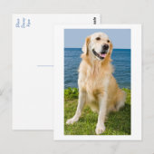 Golden Retriever Puppy Dog Blank Briefkaart (Voorkant / Achterkant)